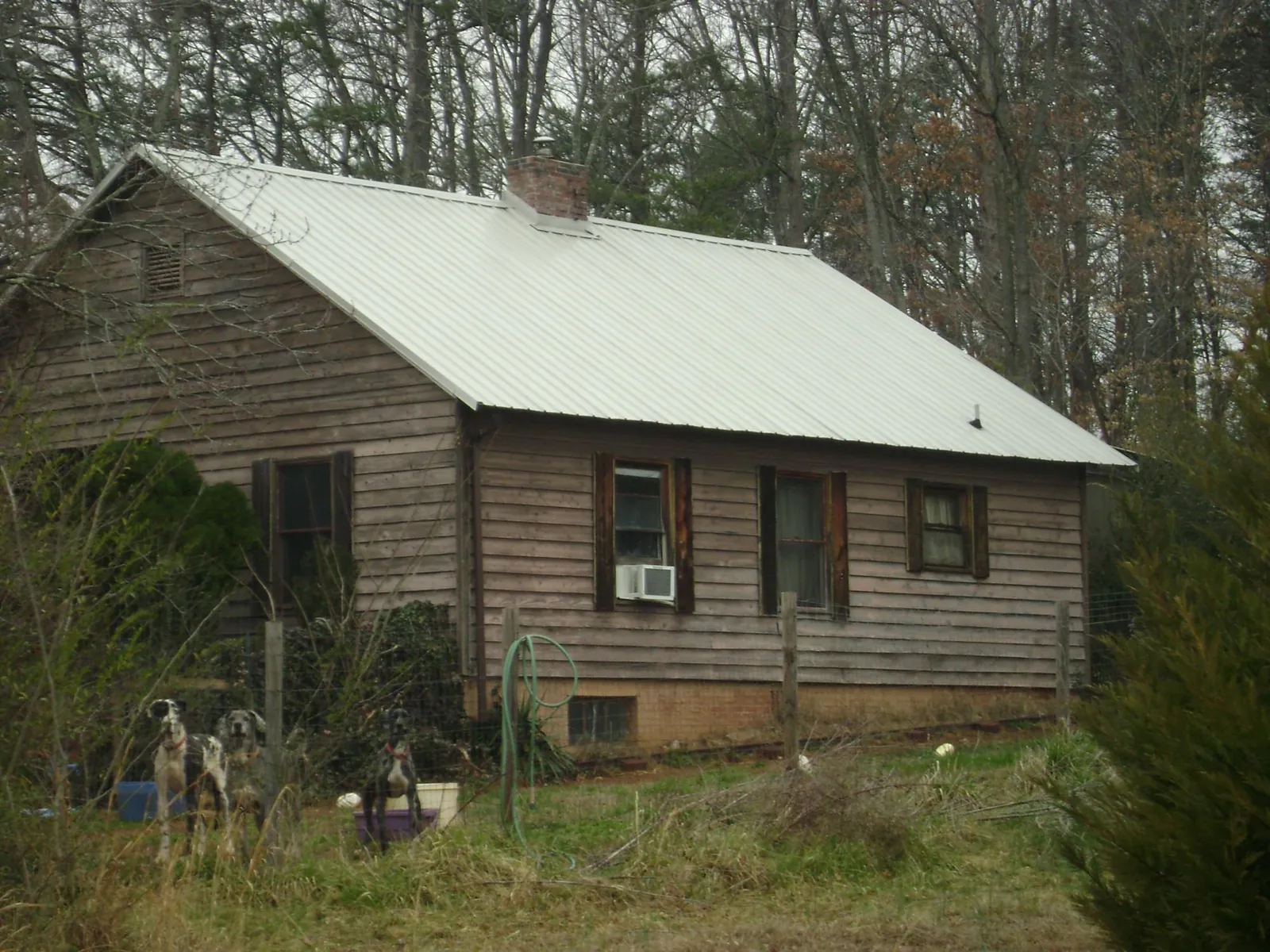 White metal roof on an old wood sided farmhouse, from a Asphalt Shingle Roof Repair job in Bethel Springs